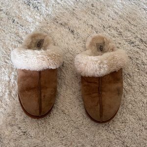 Ugg slippers